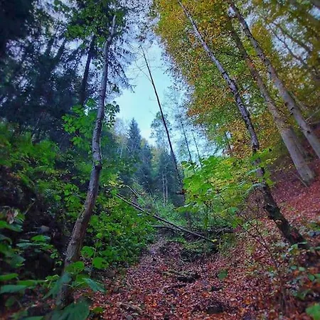 Apartment Wohnen Im Gruenen *