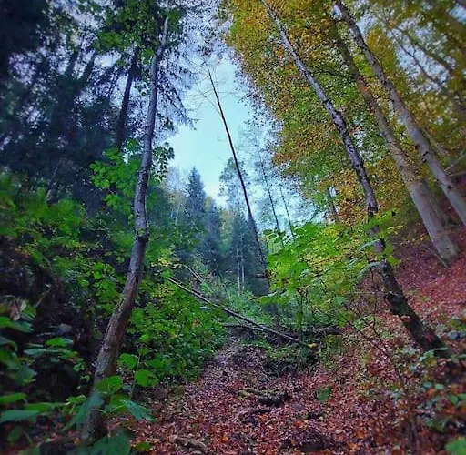 Apartmán Wohnen Im Gruenen *